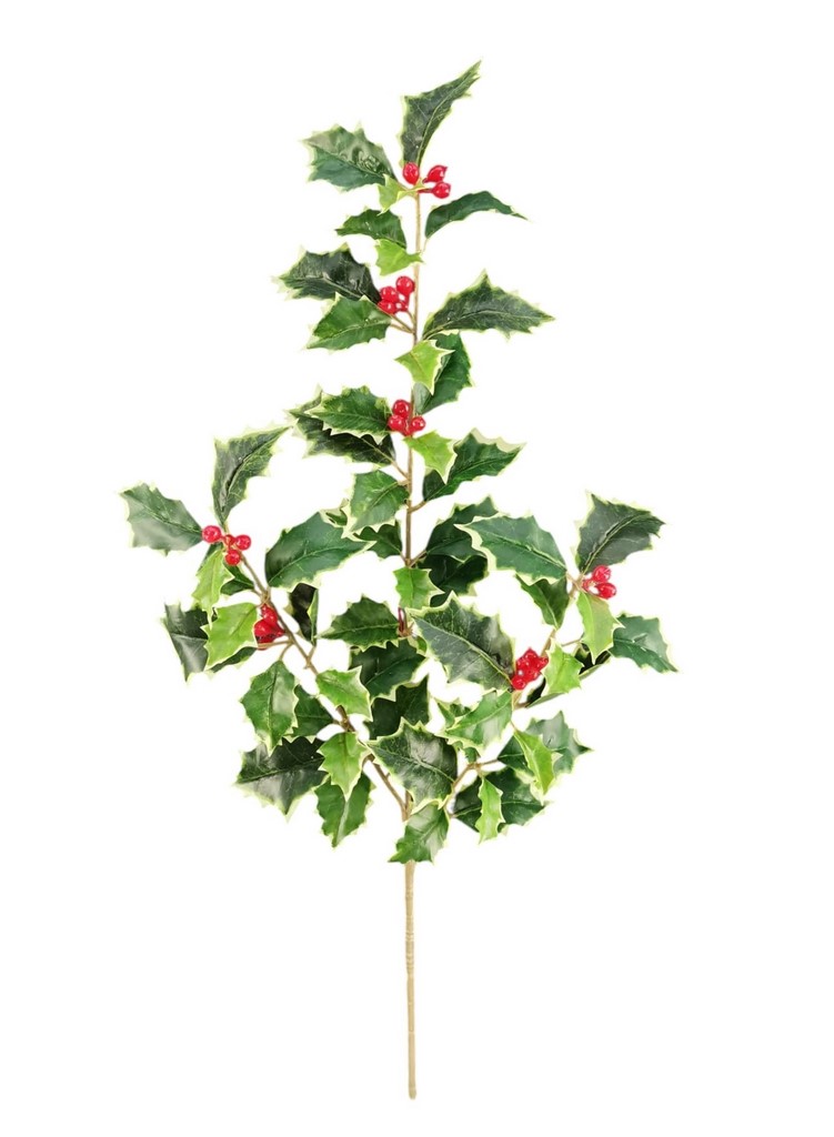 XMAS RAMO AGRIFOGLIO X3 55CM VR