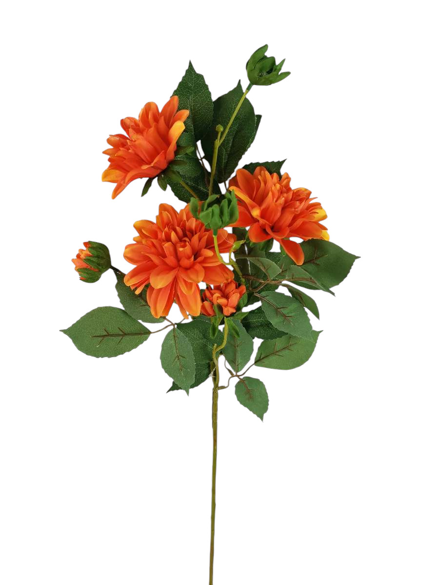 J009OR