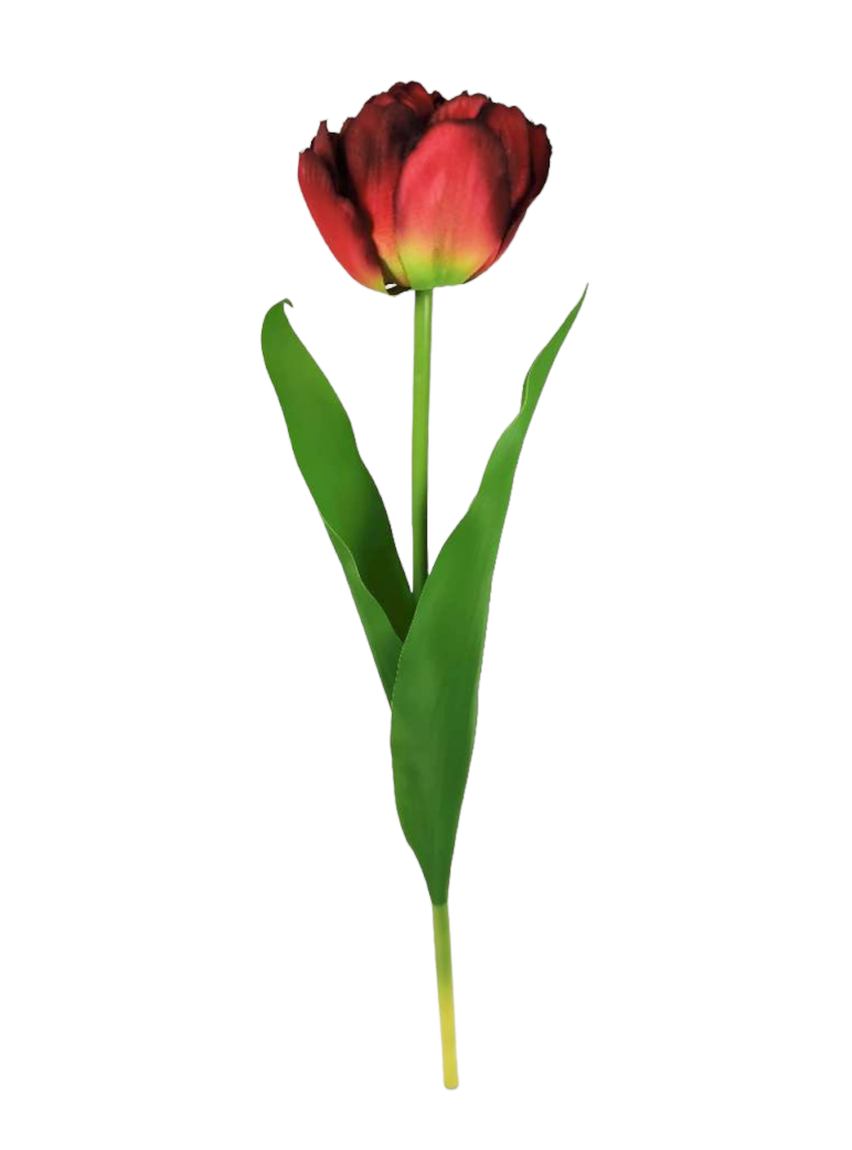 TULIPANO SPRAY 39CM RD