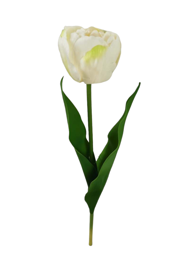 TULIPANO SPRAY 39CM WH