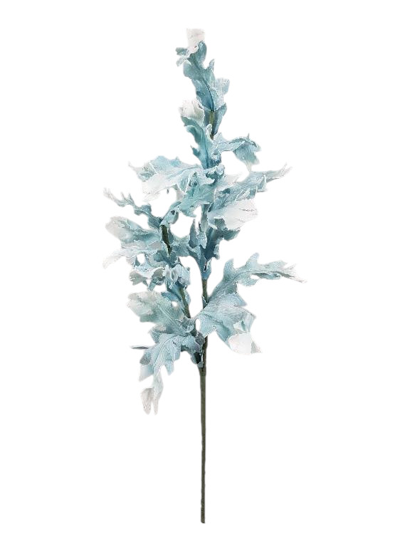 FOGLIE X2 FOAM 104CM LTBL