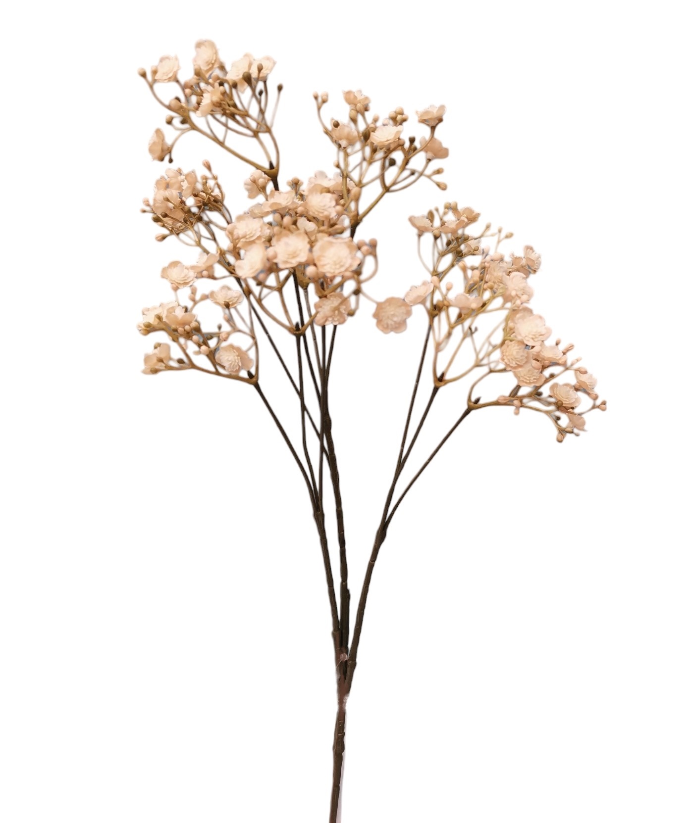 GYPSOPHILA FALL SPRAY X10 70FL 70CM BG