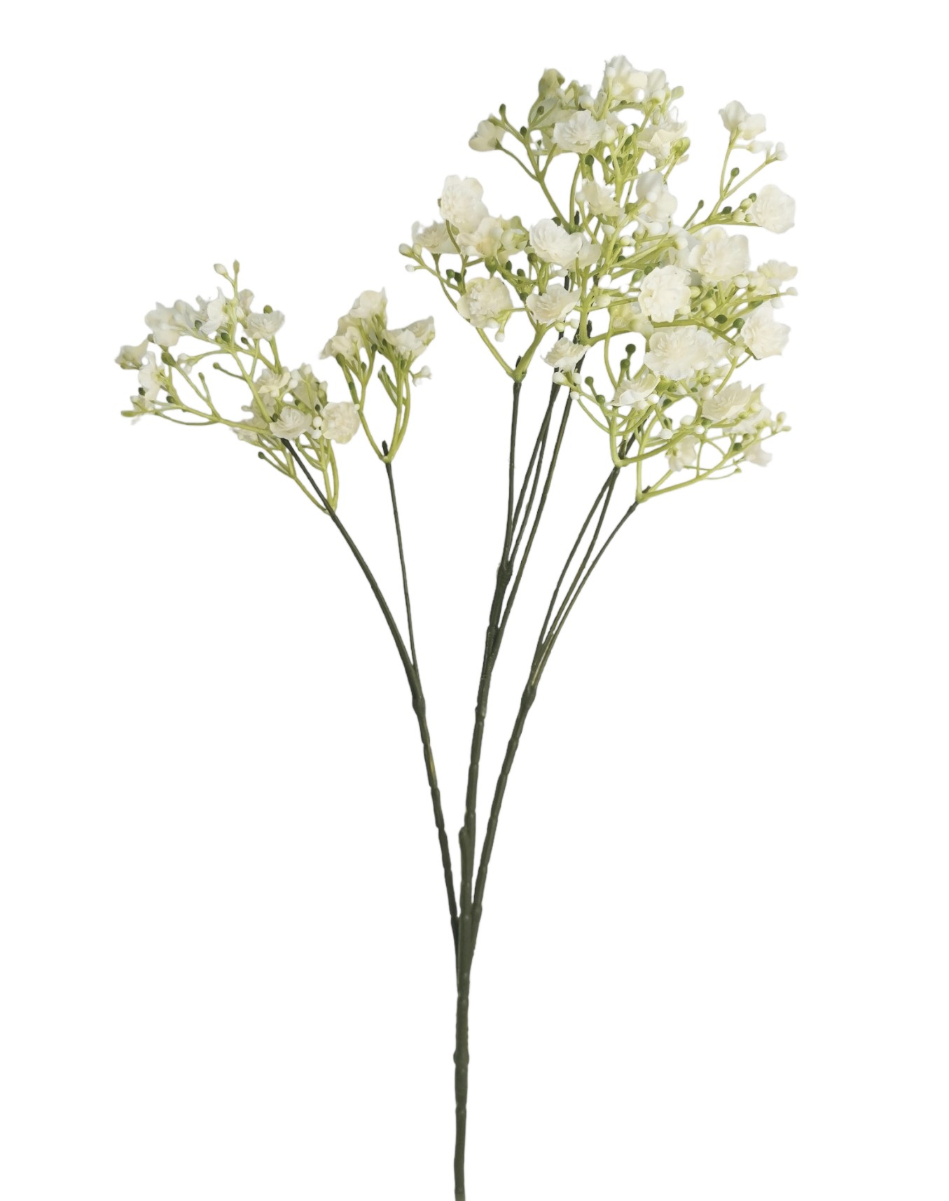 GYPSOPHILA FALL SPRAY X10 70FL 70CM CR