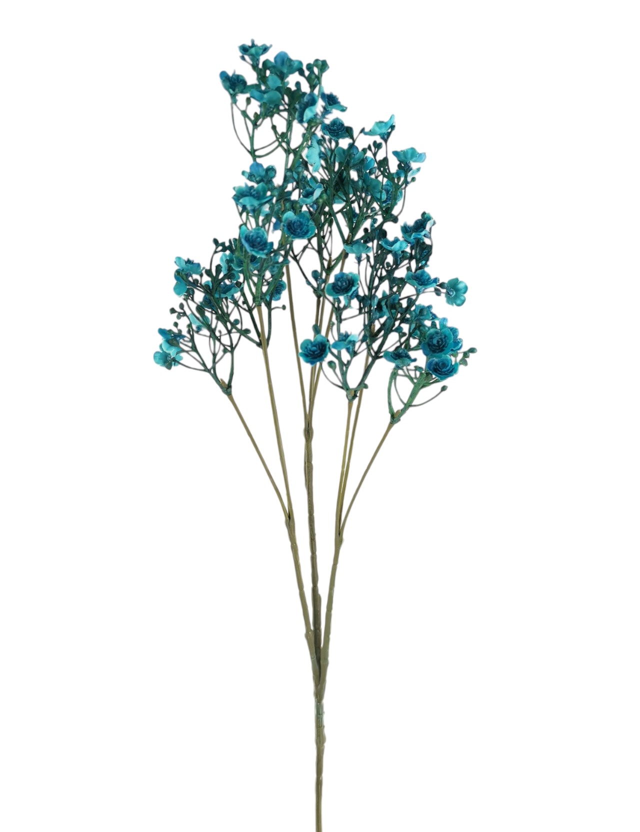 GYPSOPHILA FALL SPRAY X10 70FL 70CM DKBL