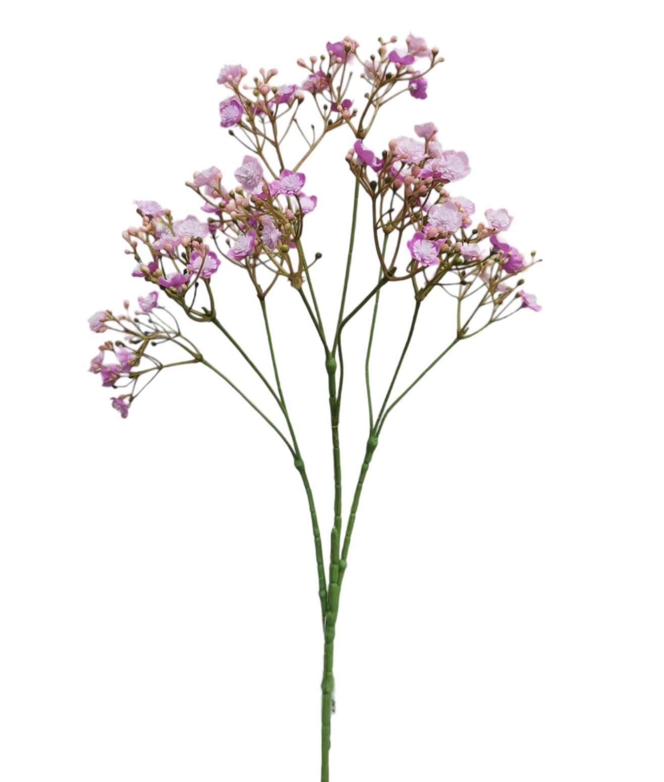 GYPSOPHILA SPRAY X10 70FL 70CM LL