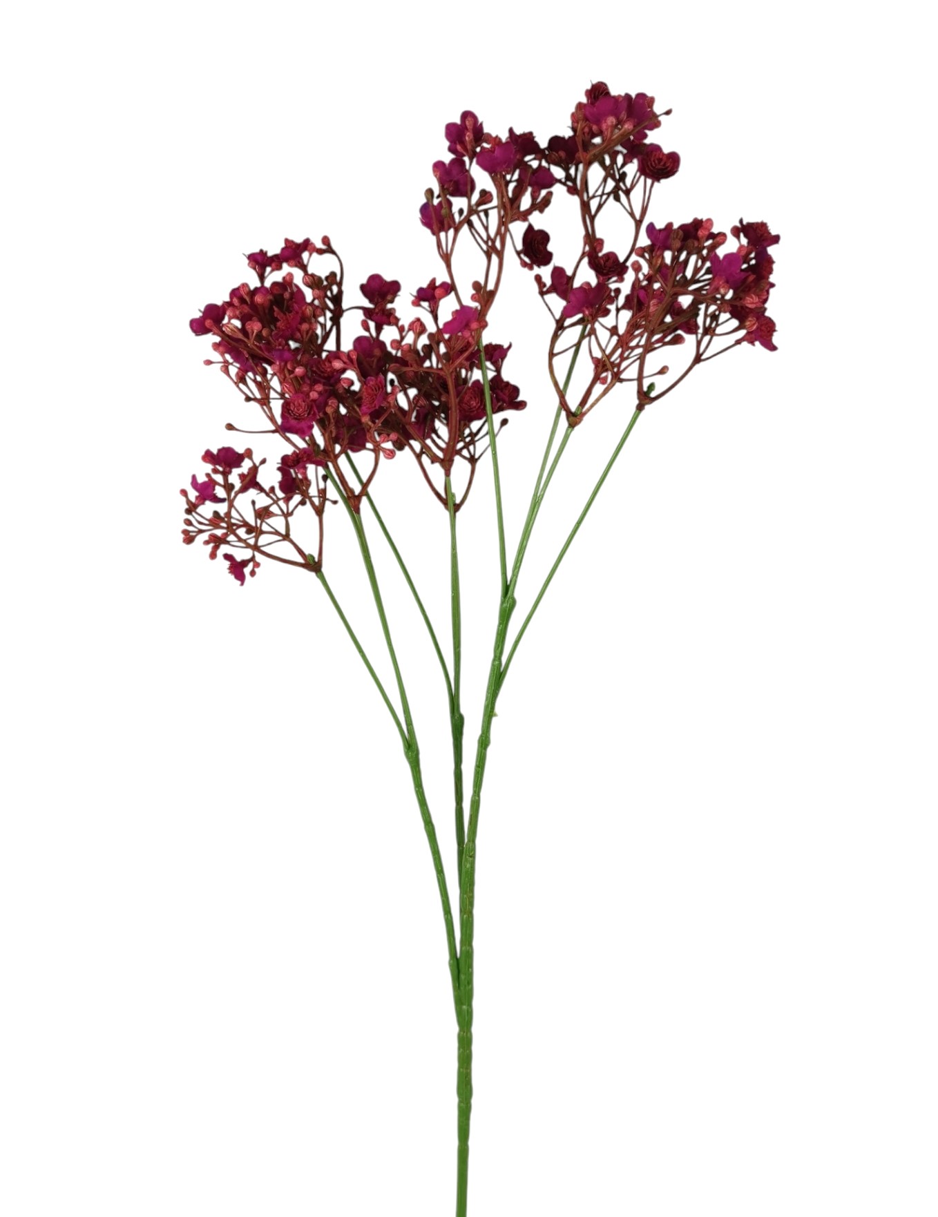 GYPSOPHILA SPRAY X10 70FL 70CM LTBT