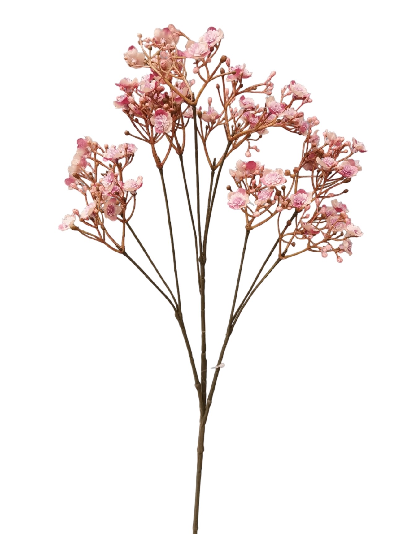 GYPSOPHILA FALL SPRAY X10 70FL 70CM LTPK