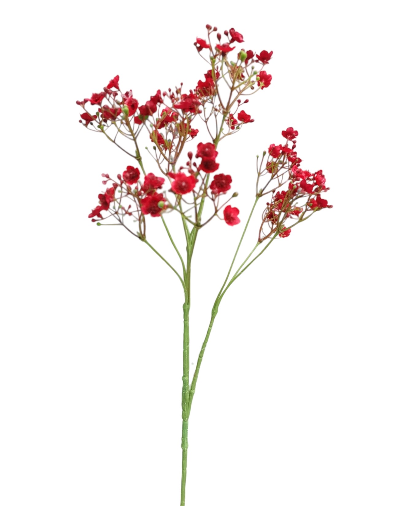 GYPSOPHILA SPRAY X10 70FL 70CM LTRD