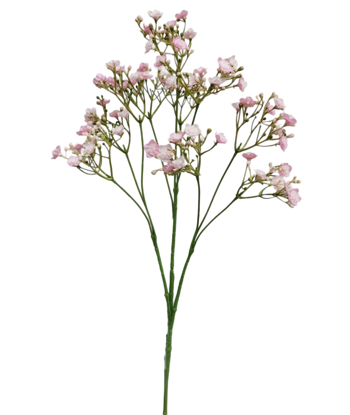 GYPSOPHILA SPRAY X10 70FL 70CM PK
