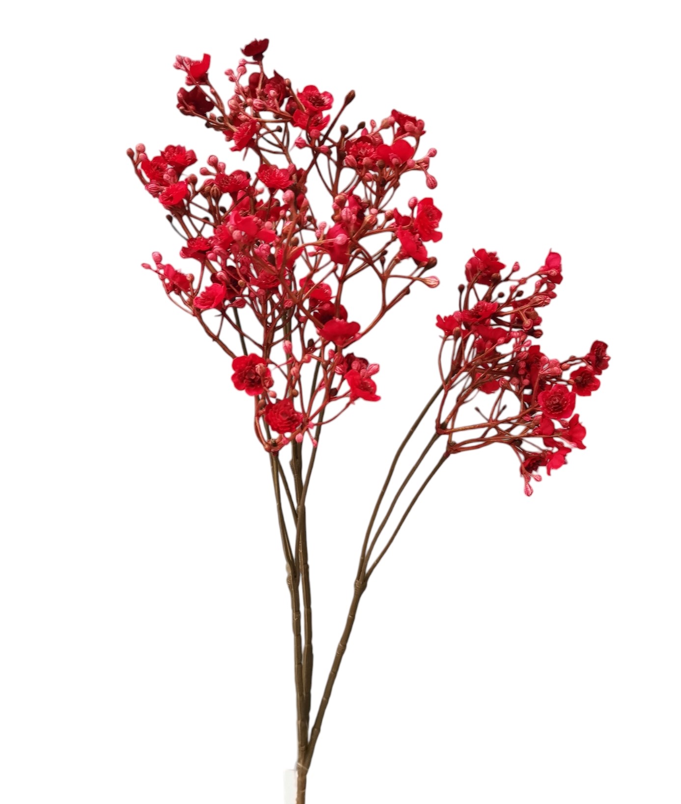 GYPSOPHILA FALL SPRAY X10 70FL 70CM RD