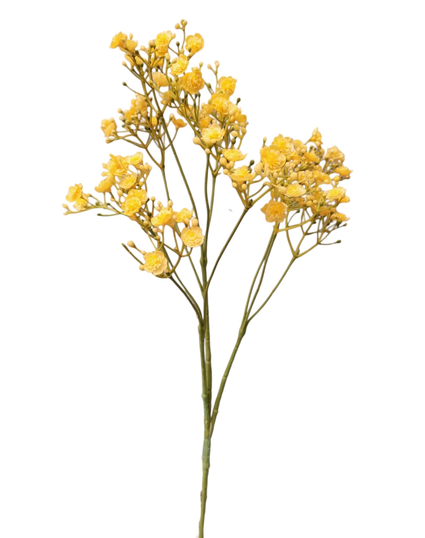 GYPSOPHILA SPRAY X10 70FL 70CM YL