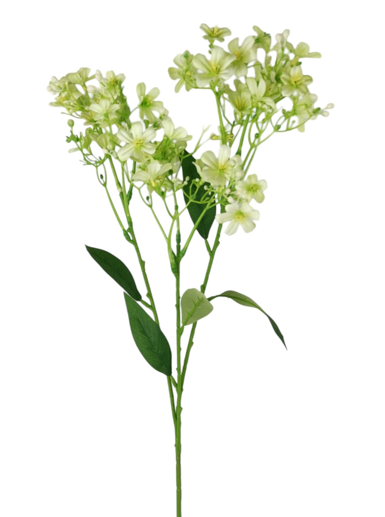 DAPHNE SPRAY X3 72CM GR