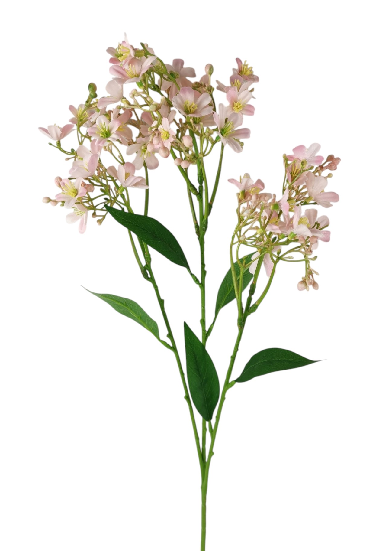DAPHNE SPRAY X3 72CM PK