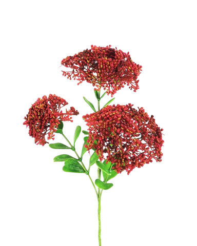SEDUM SPRAY X3 58CM BT