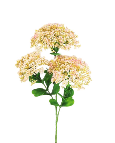 SEDUM SPRAY X3 58CM PK