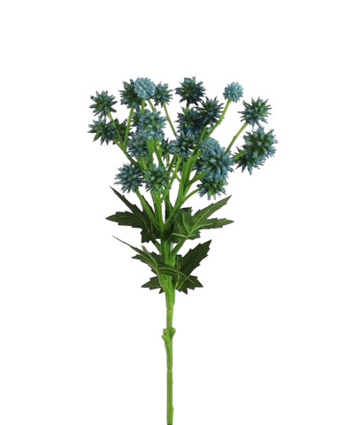 SANICULA SPRAY 50CM BL