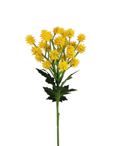 SANICULA SPRAY 50CM YL