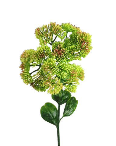 SEDUM SPRAY 46CM GRRD