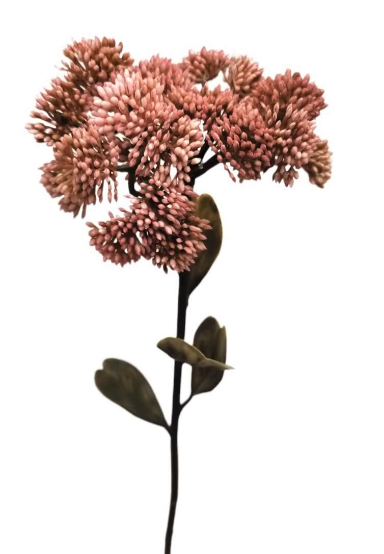 SEDUM SPRAY 46CM LTMV