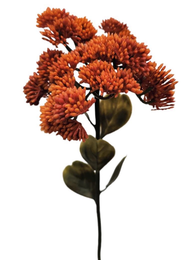 SEDUM SPRAY 46CM OR