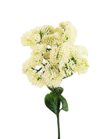 SEDUM SPRAY 46CM WH