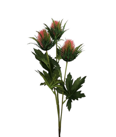 CARDO SPRAY X3 68CM PK