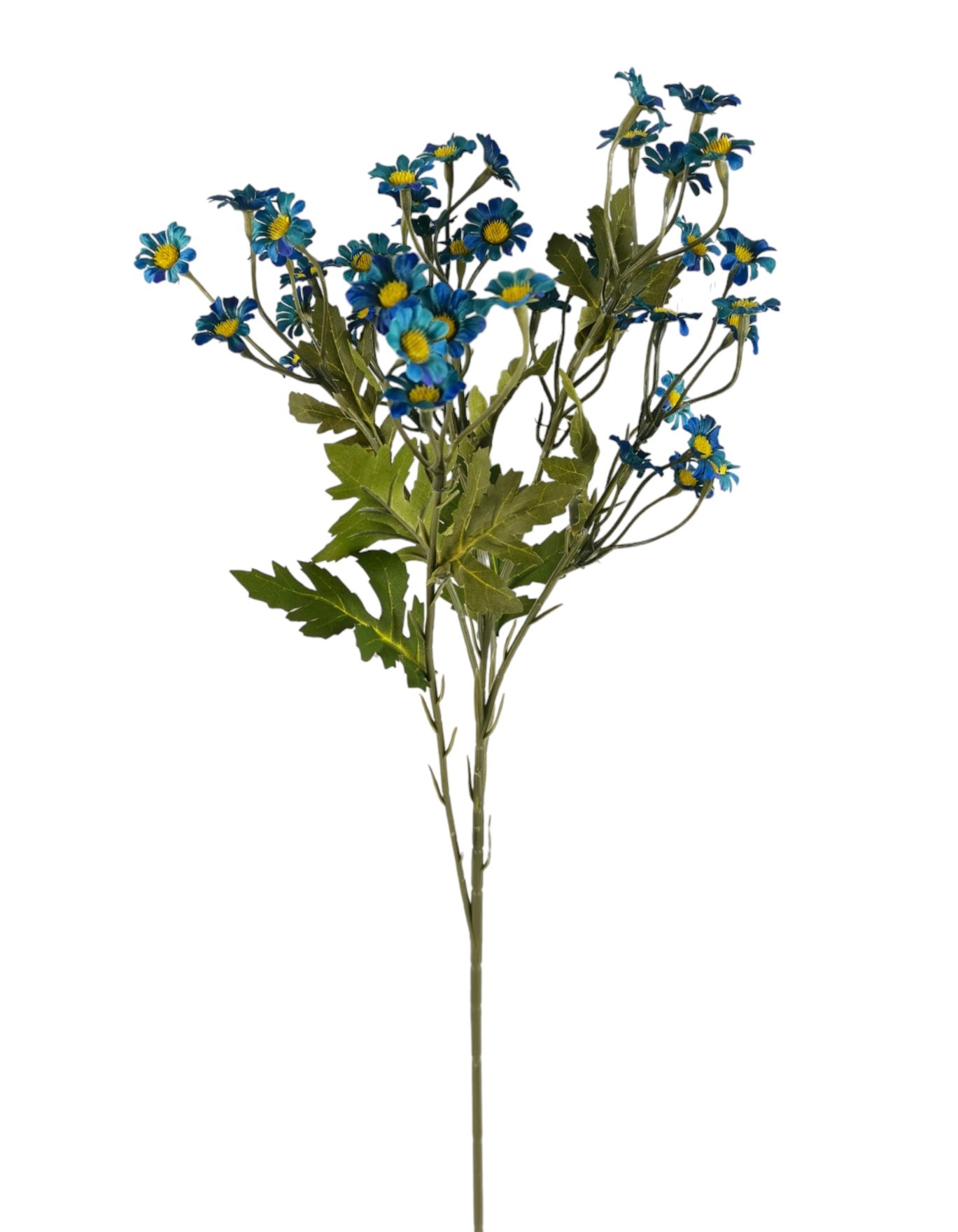 CAMOMILLA SPRAY X6 61CM BL