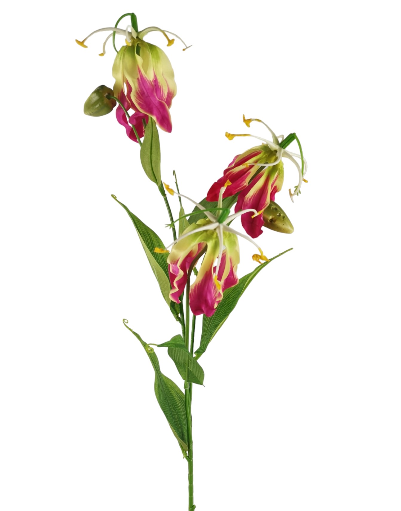 GLORIOSA SPRAY X3 84CM BT