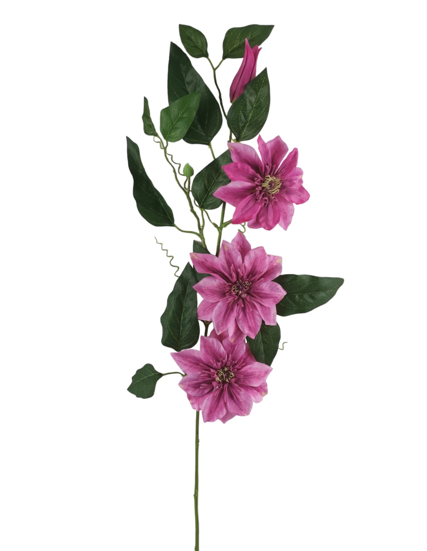 CLEMATIS SPRAY 81CM BT