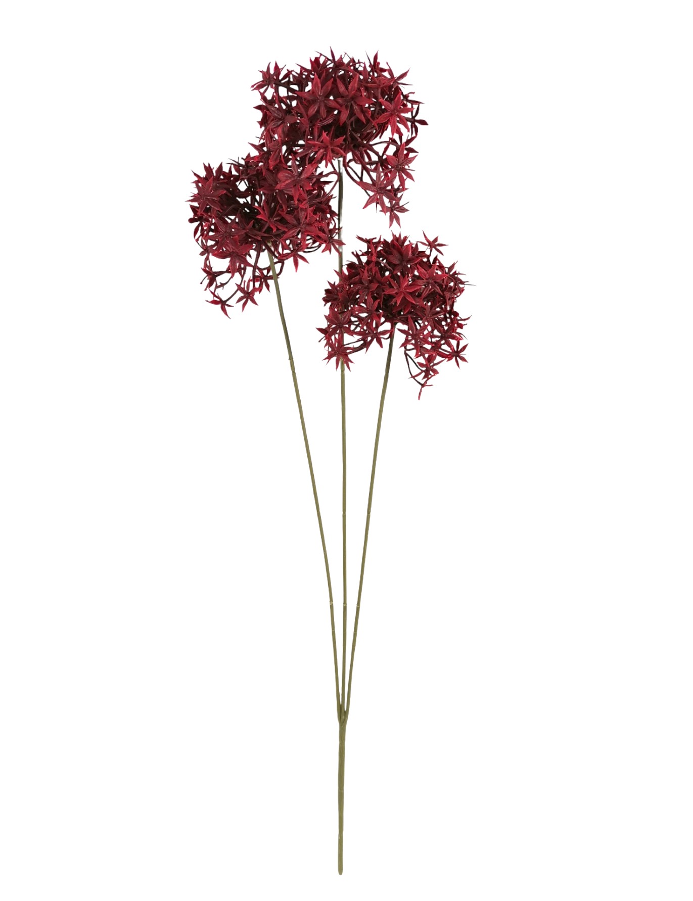 ALLIUM STELLATA X3 80CM BU