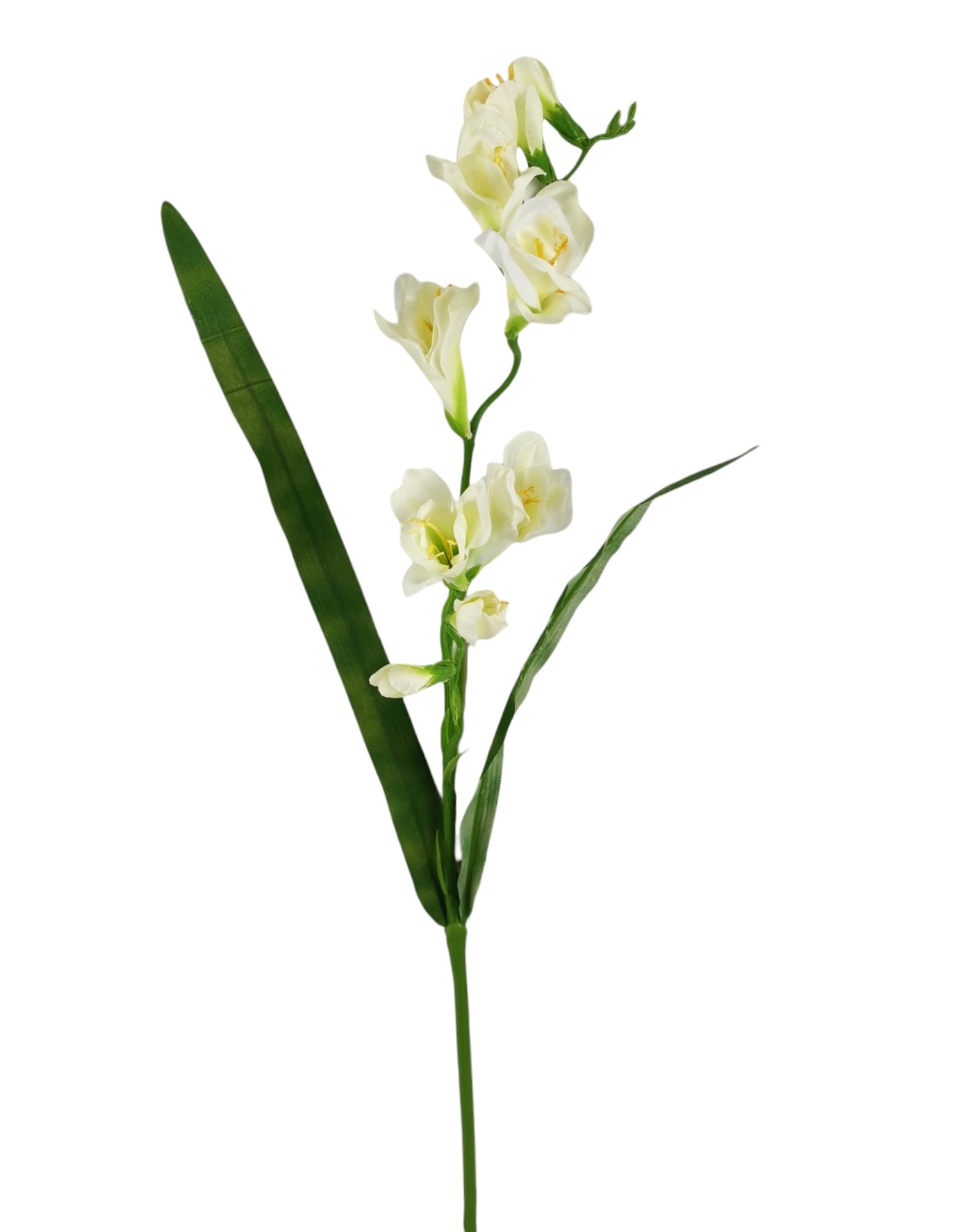FRESIA SPRAY X2 9FLR 56CM CR