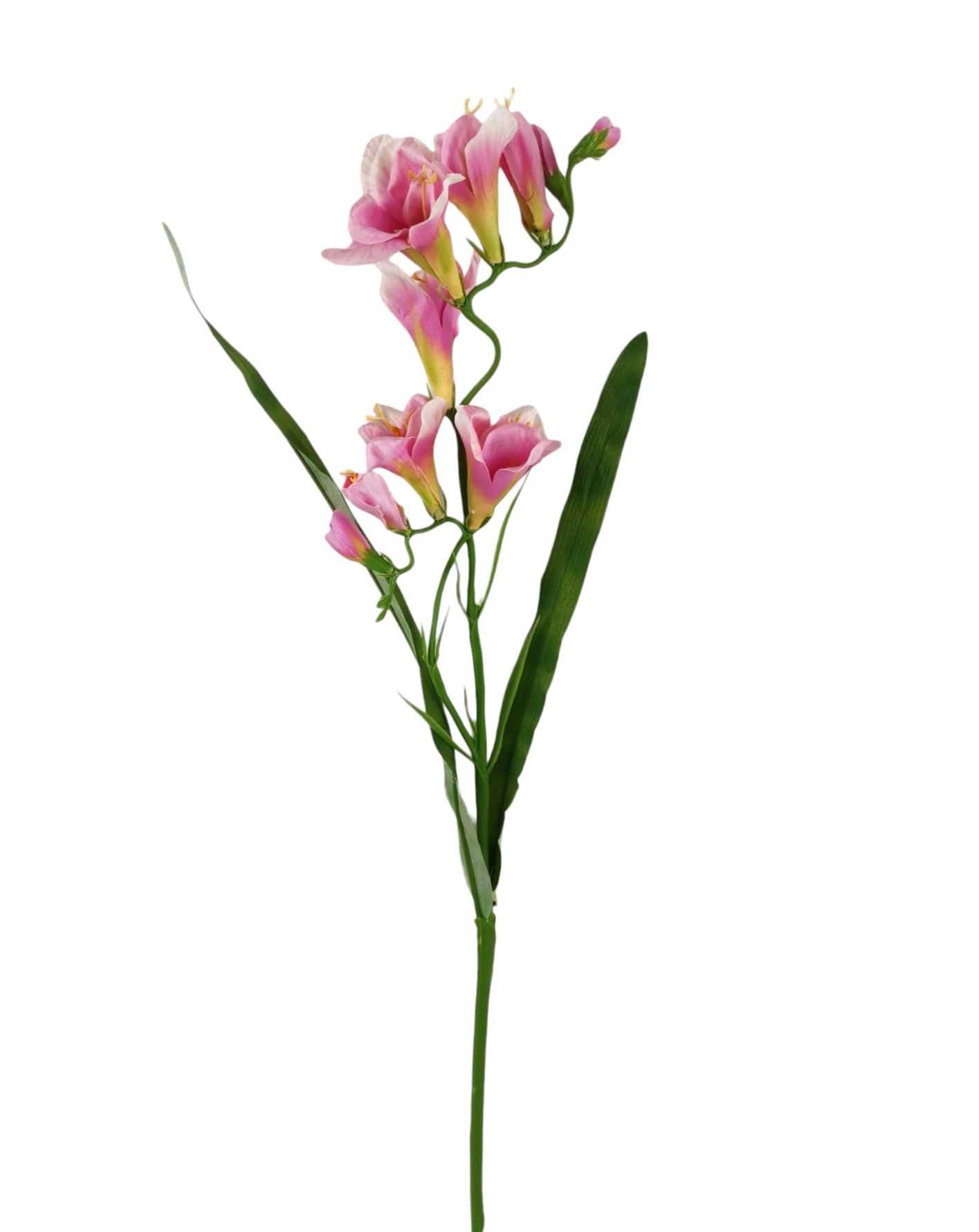 FRESIA SPRAY X2 9FLR 56CM PK