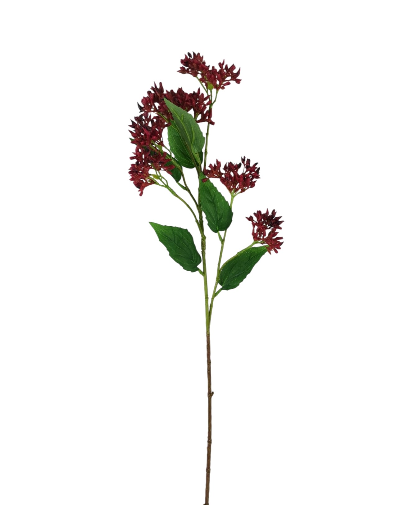 SEDUM SPRAY X7 63CM BU