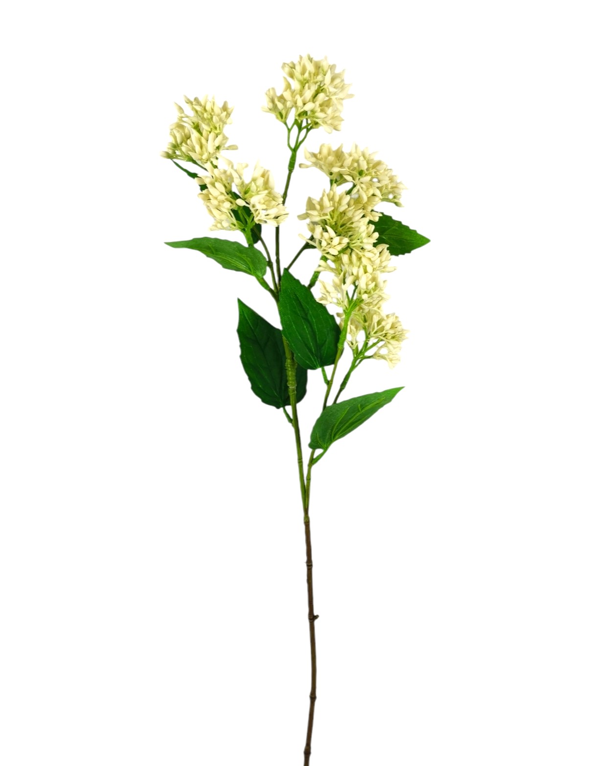SEDUM SPRAY X7 63CM CR