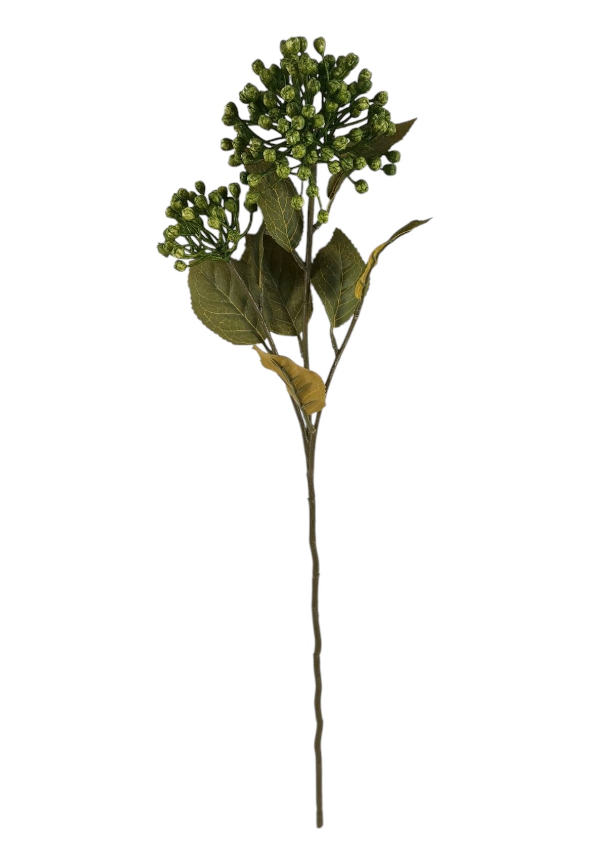 ALLIUM SPRAY X2 55CM GR