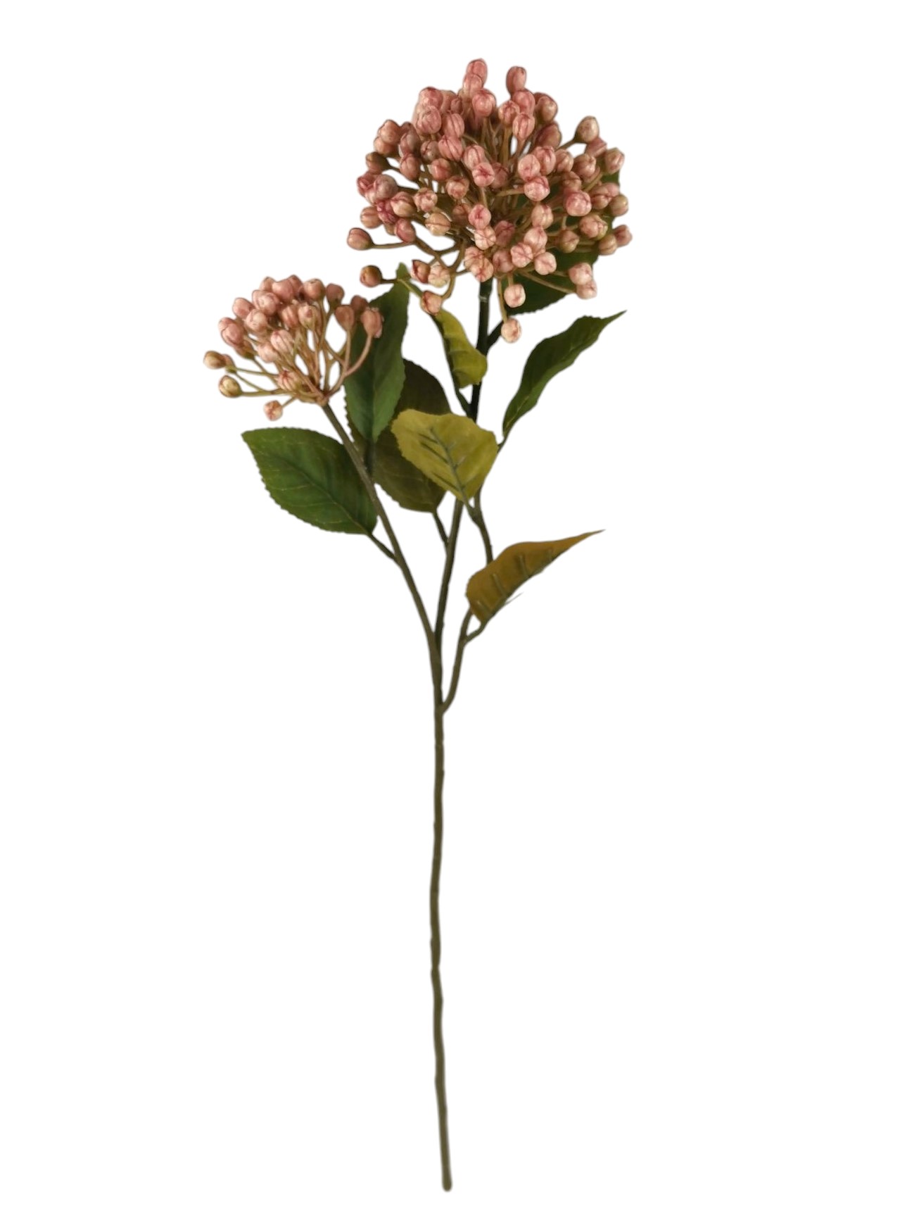 ALLIUM SPRAY X2 55CM PK