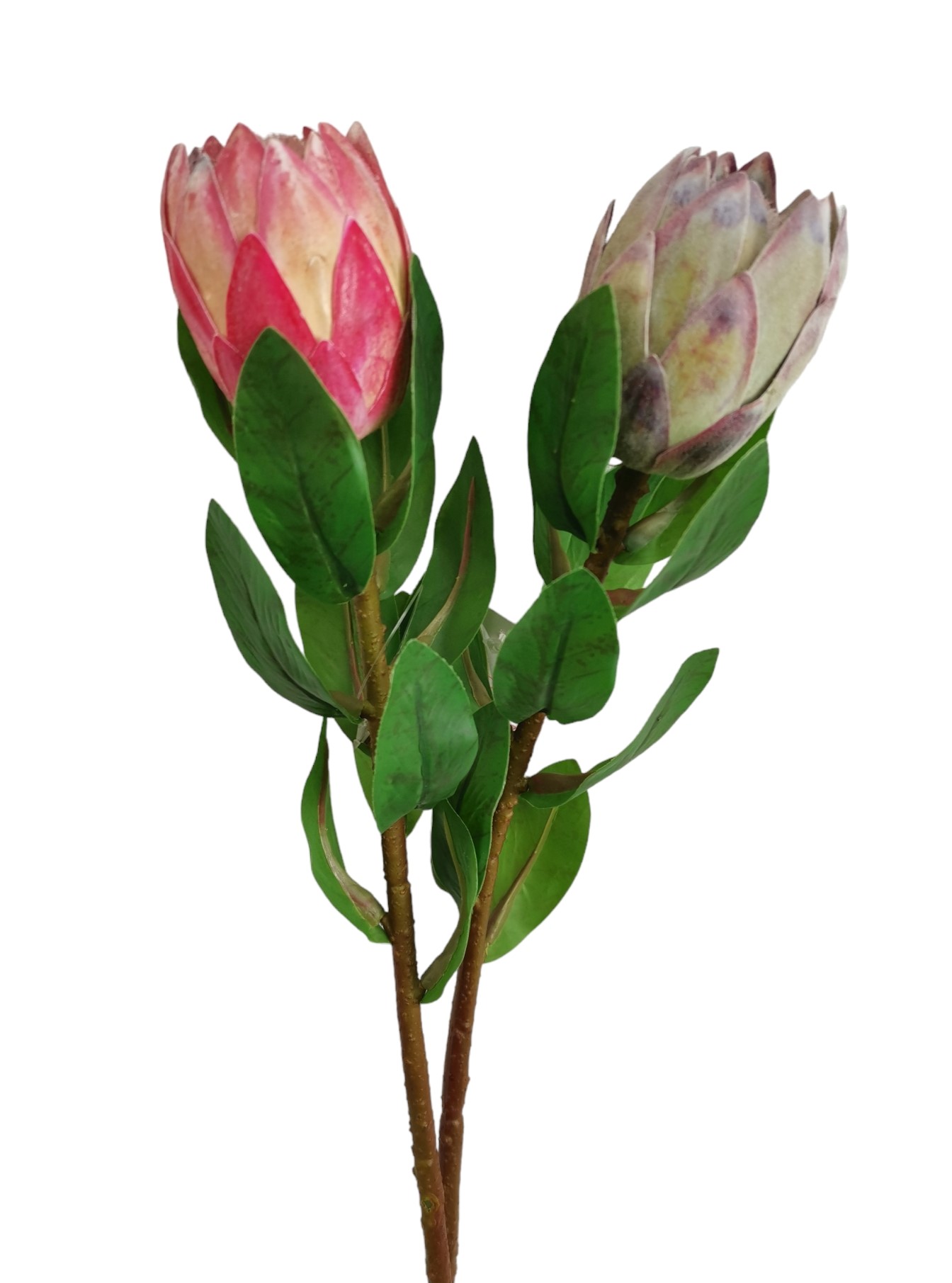 PROTEA SPRAY RT 45CM ASS