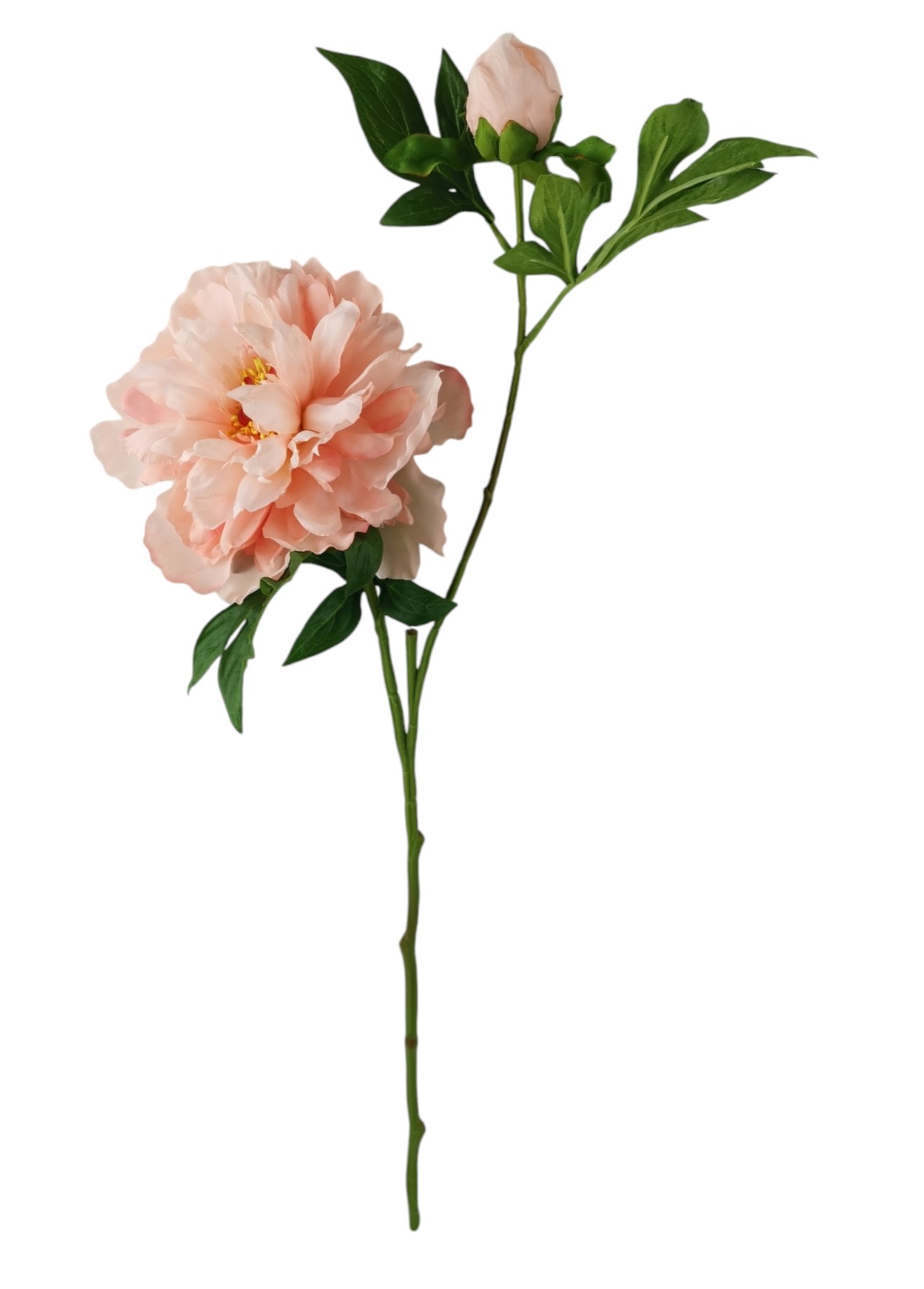 PEONIA SPRAY X2 65CM SA