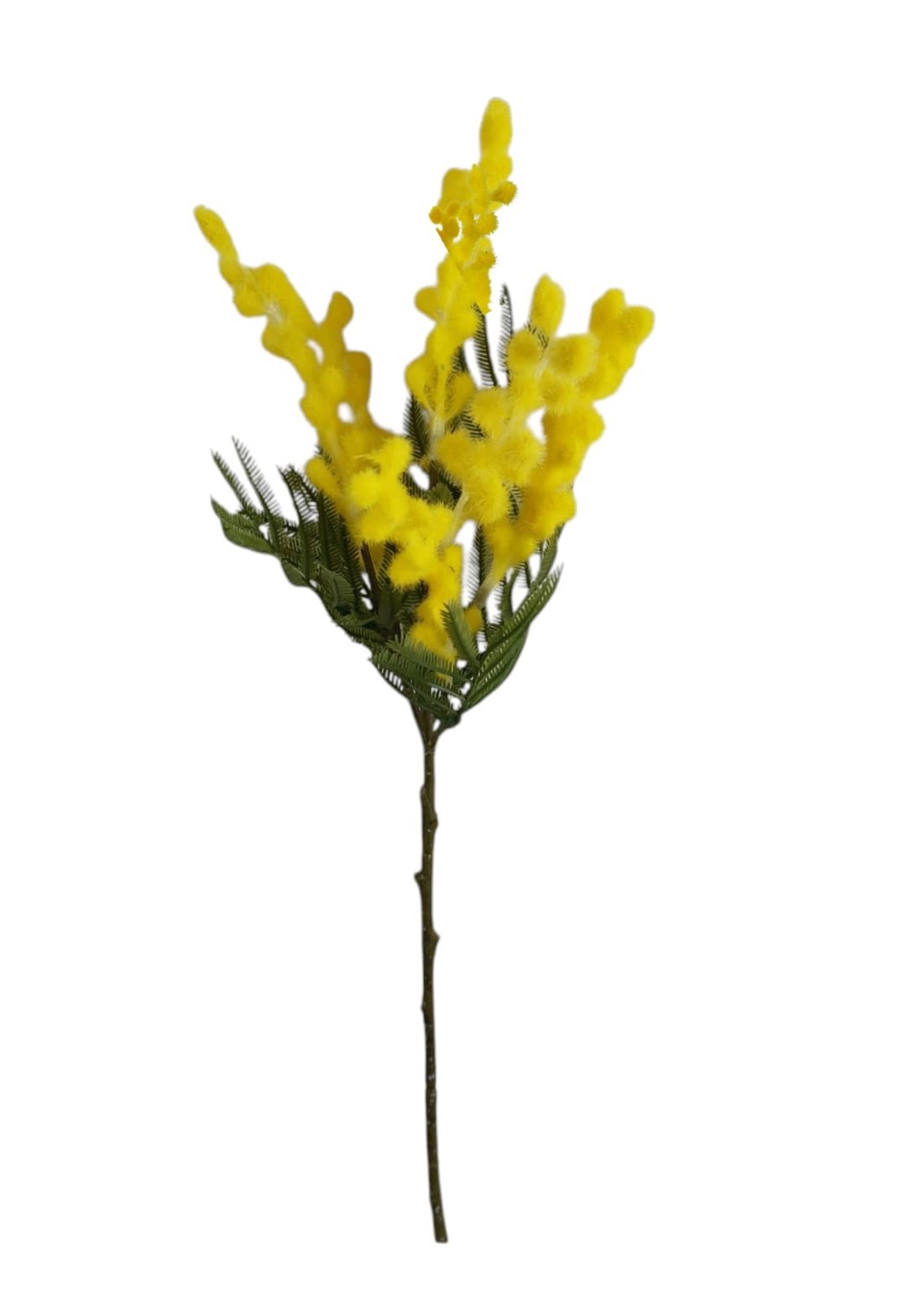 MIMOSA PICK 40CM YL