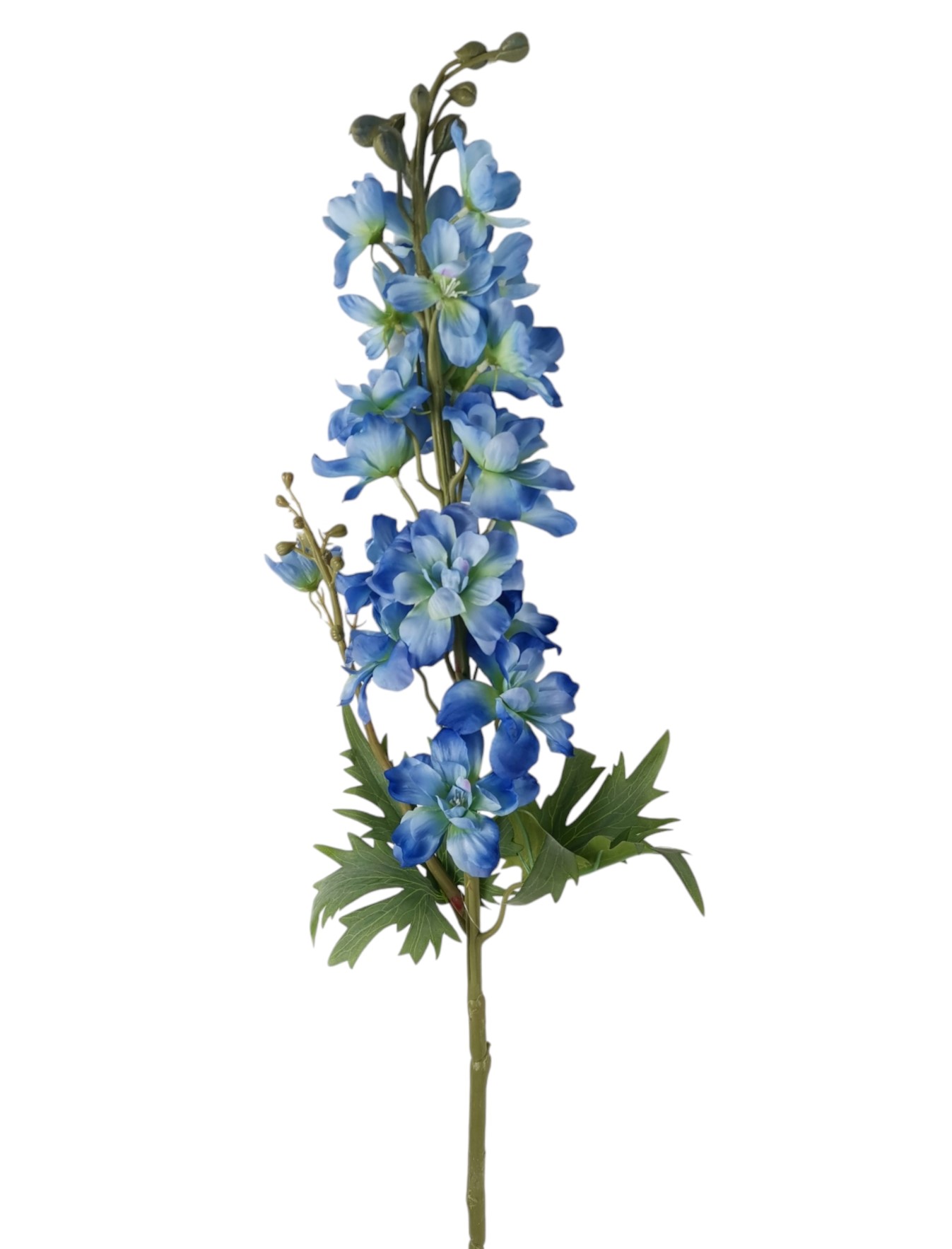 DELPHINIUM SPRAY 90CM BL