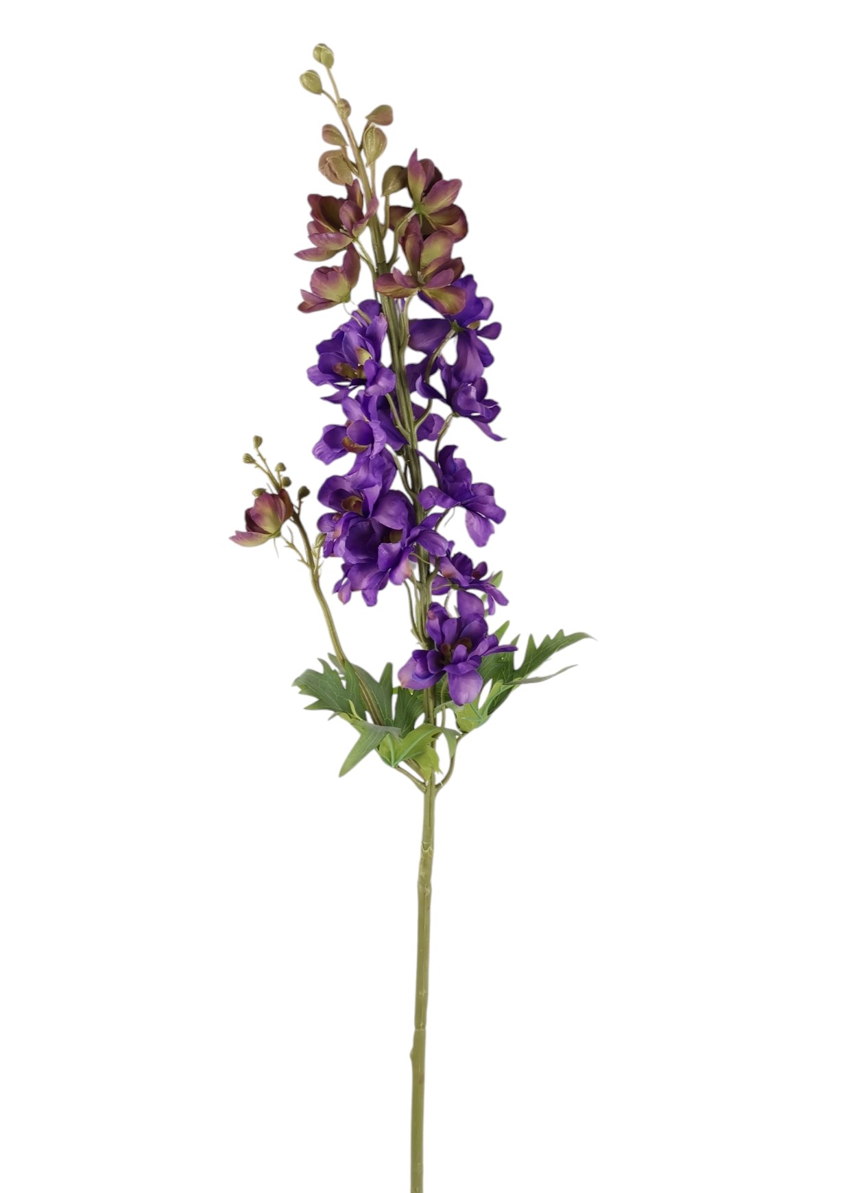 DELPHINIUM SPRAY 90CM PU