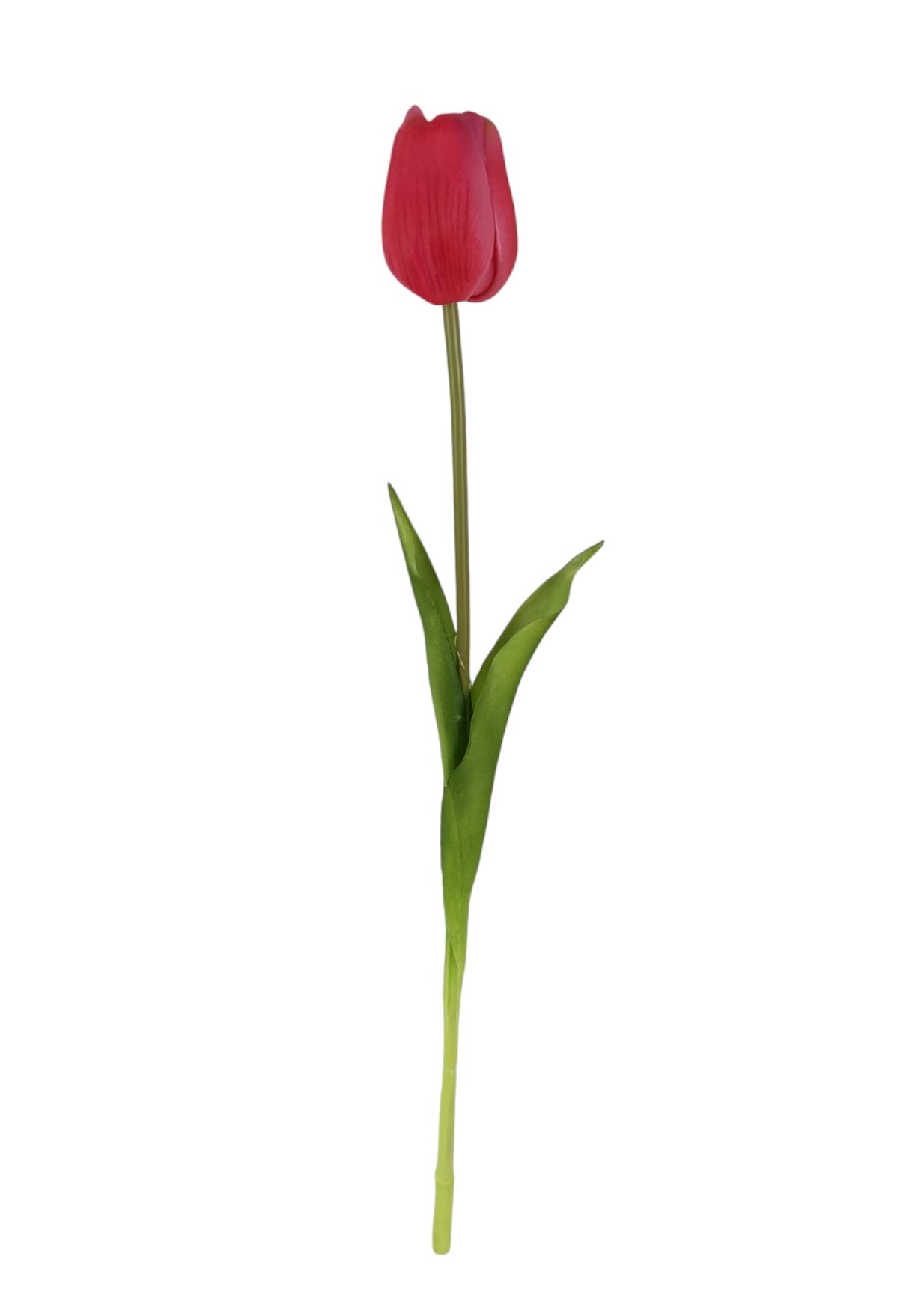 TULIPANO SINGOLO RT 47CM BT