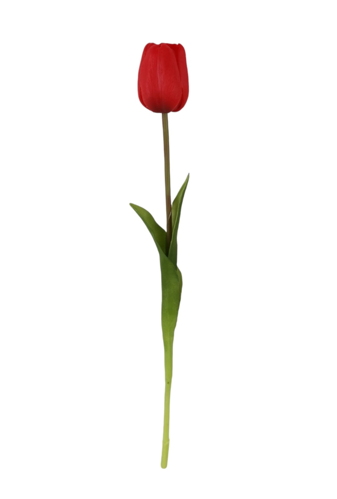 TULIPANO SINGOLO RT 47CM RD