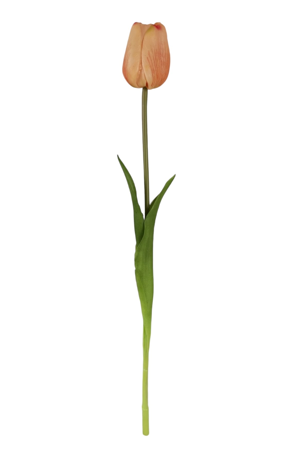 TULIPANO SINGOLO RT 47CM SA