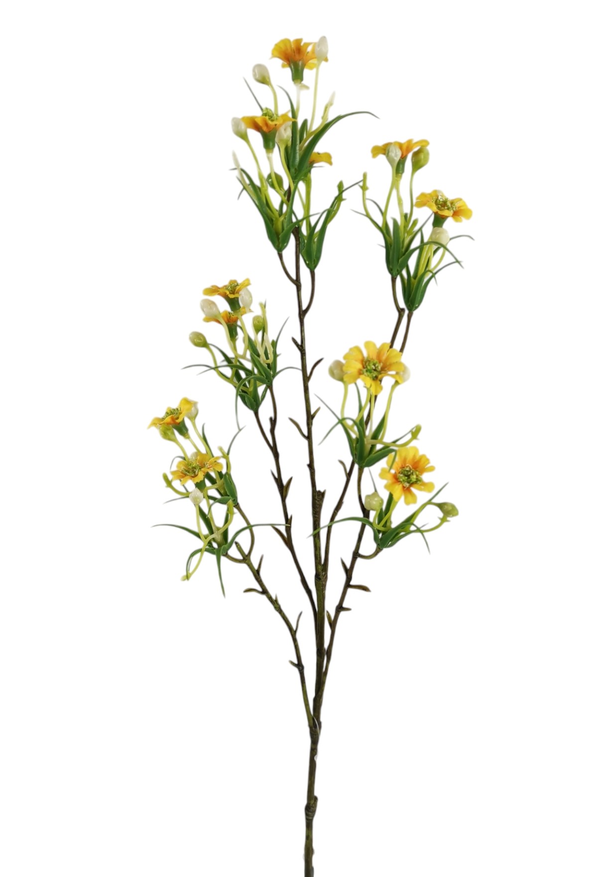 ASTER SPRAY X5 65CM YL