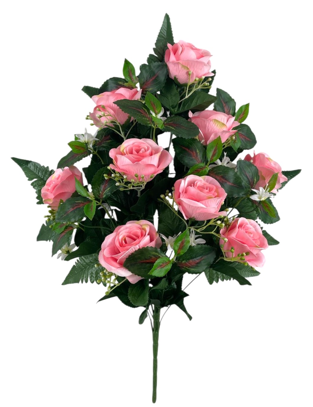 FR ROSA X18 60CM PK