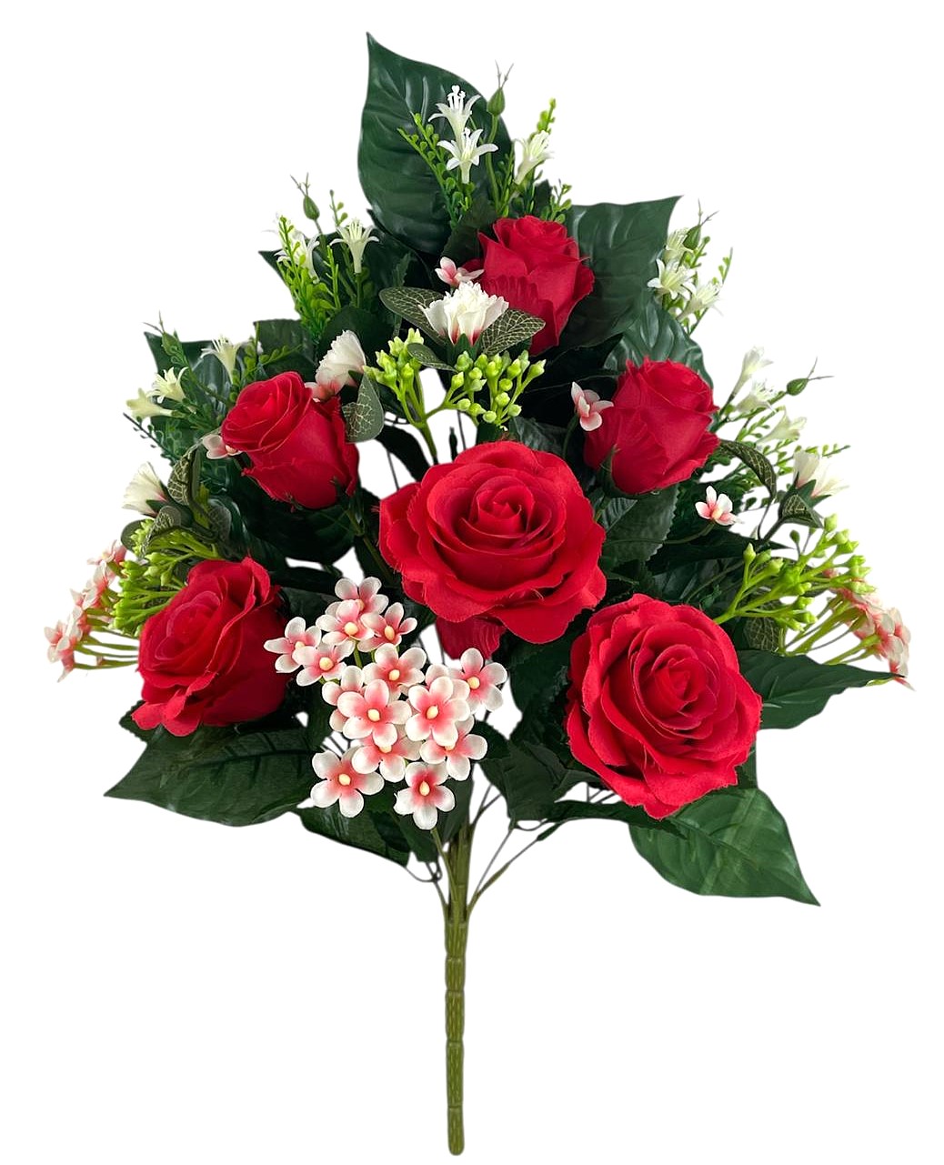 FR ROSA VERBENA X17 51CM RD