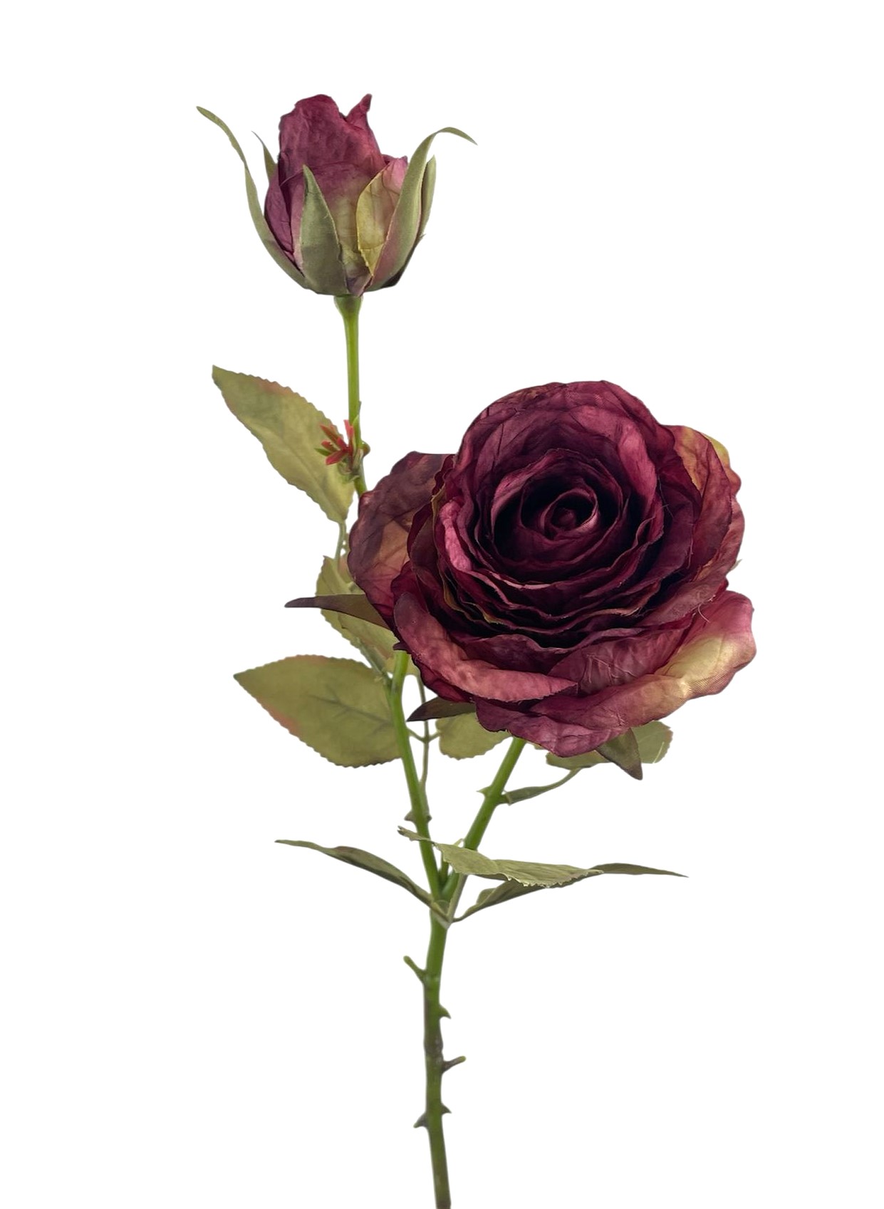 ROSA BOCCIOLO SPRAY X2 68CM BU