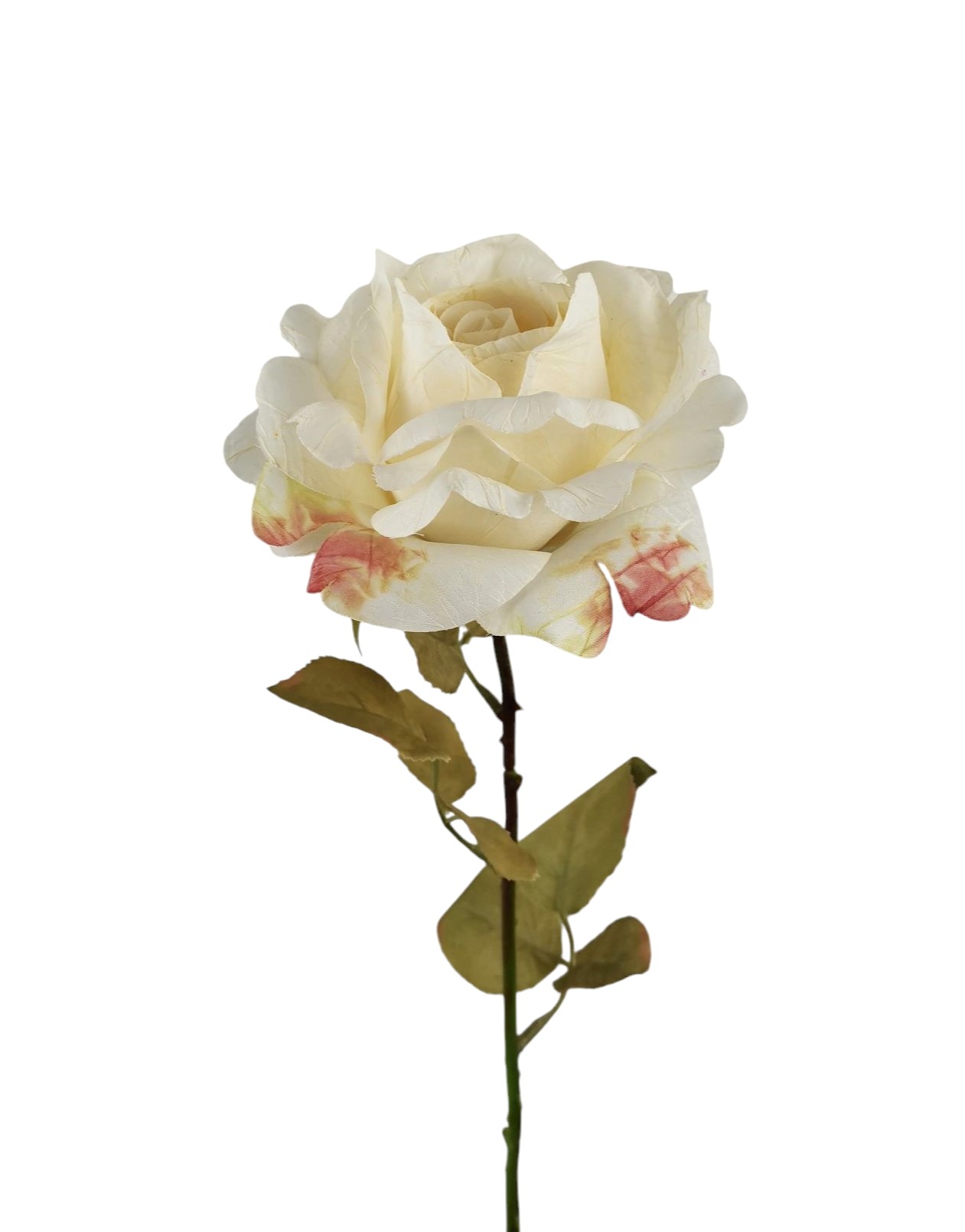 ROSA SPRAY X1 63CM CR