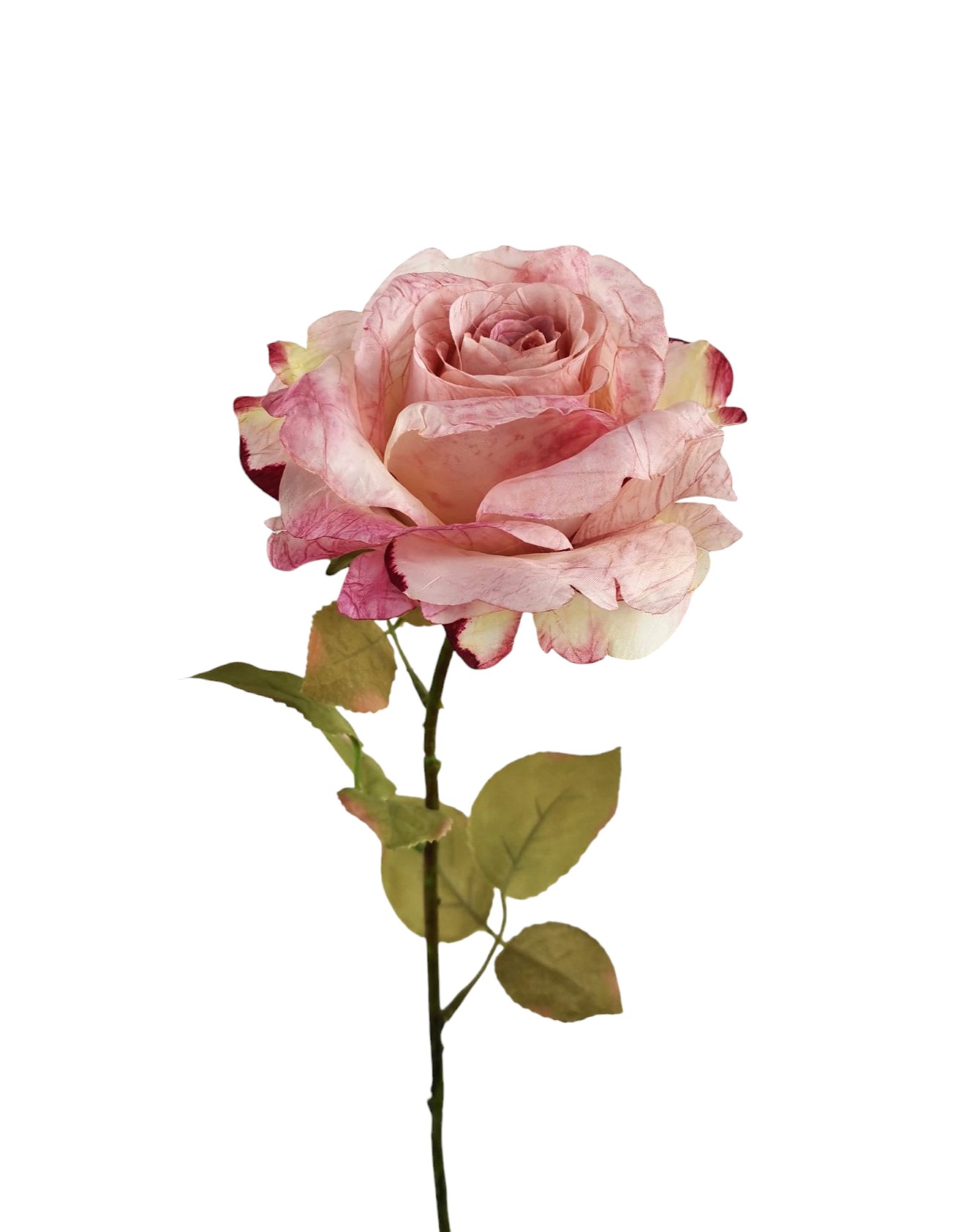 ROSA SPRAY X1 63CM PK